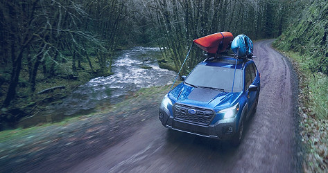 2023 Subaru Forester Colors | Mark Miller Subaru Midtown